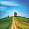 12 Riches of Life Back Cover