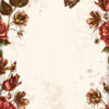 Butterfly Blooms Back Cover