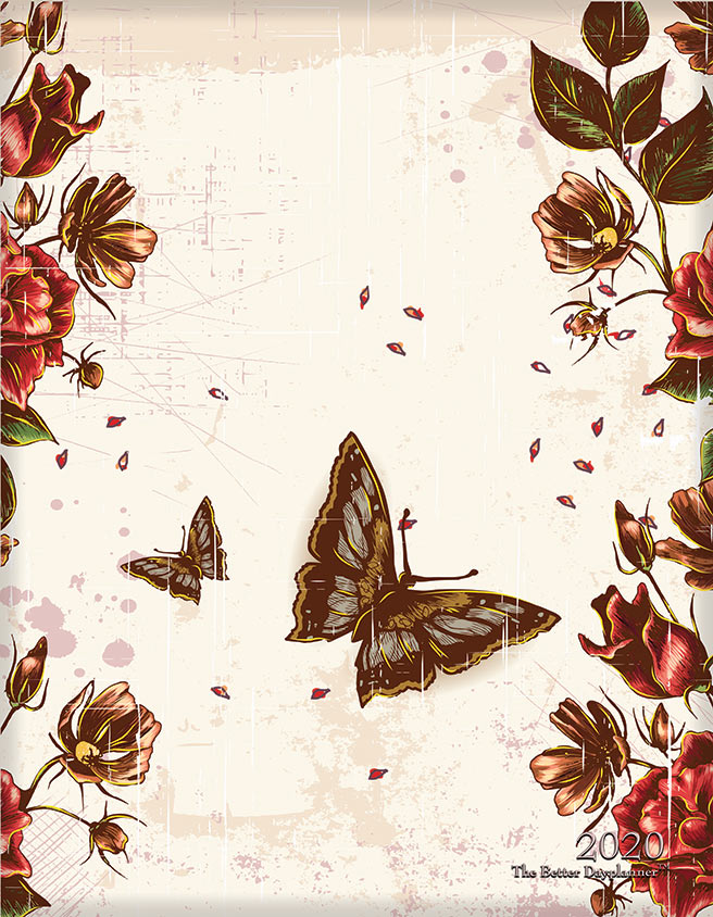Butterfly Blooms Front Cover