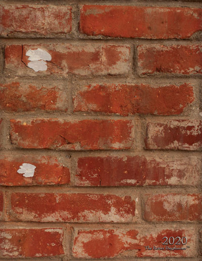 Red Bricks Front Cover